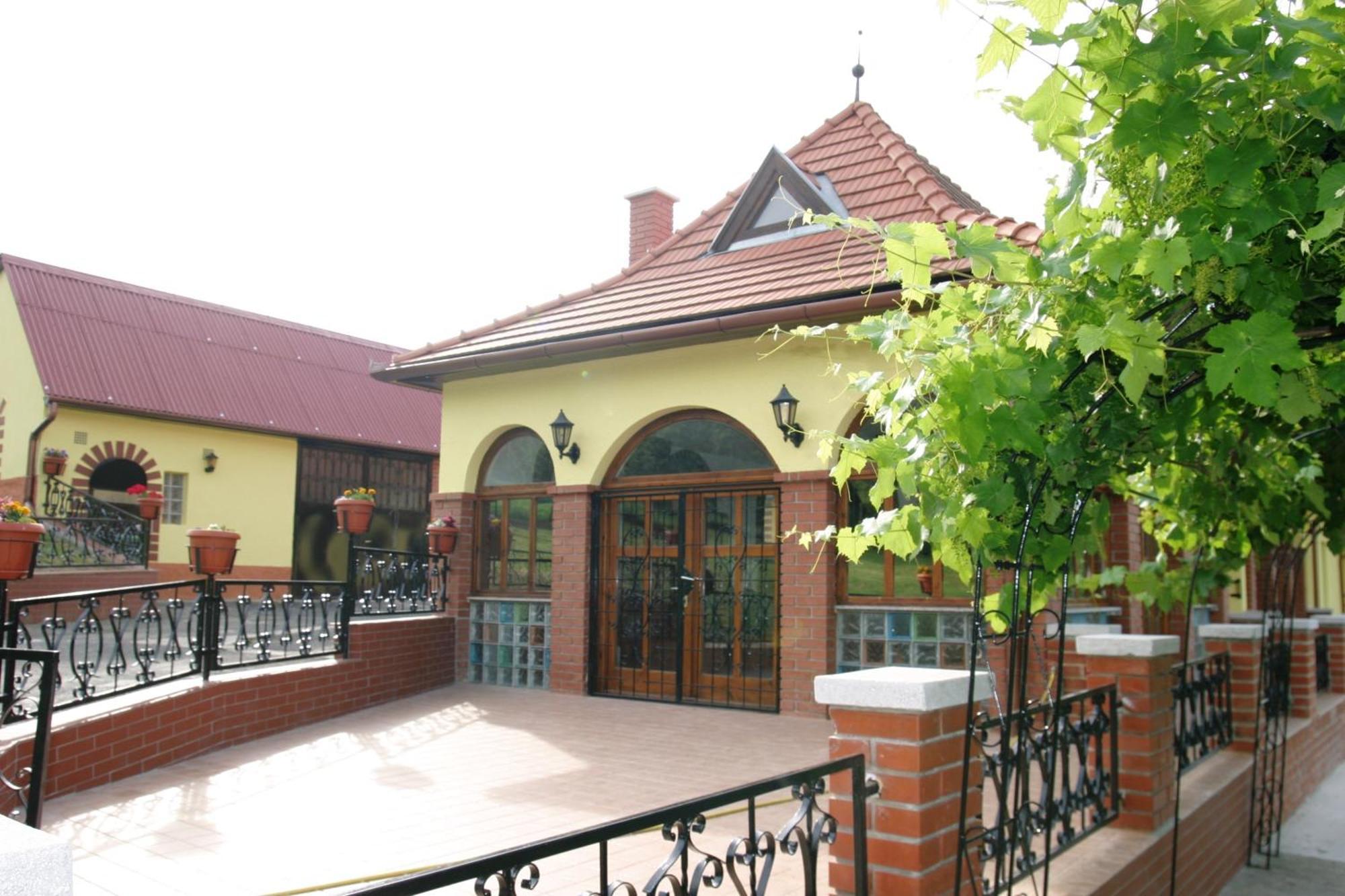 Villa Teleki Exteriör bild