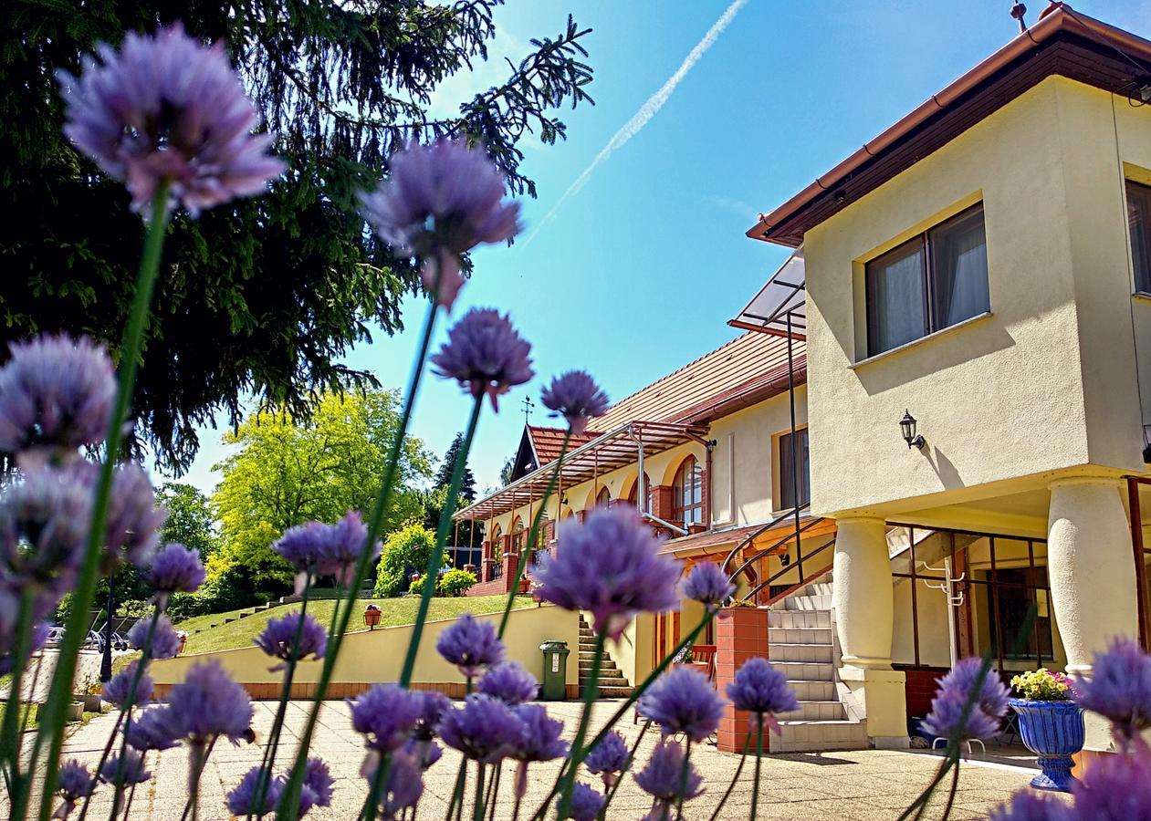 Villa Teleki Exteriör bild