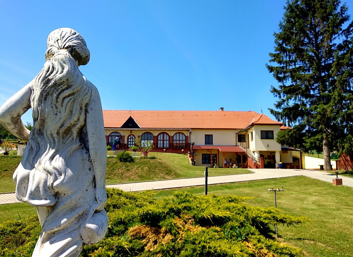 Villa Teleki Exteriör bild