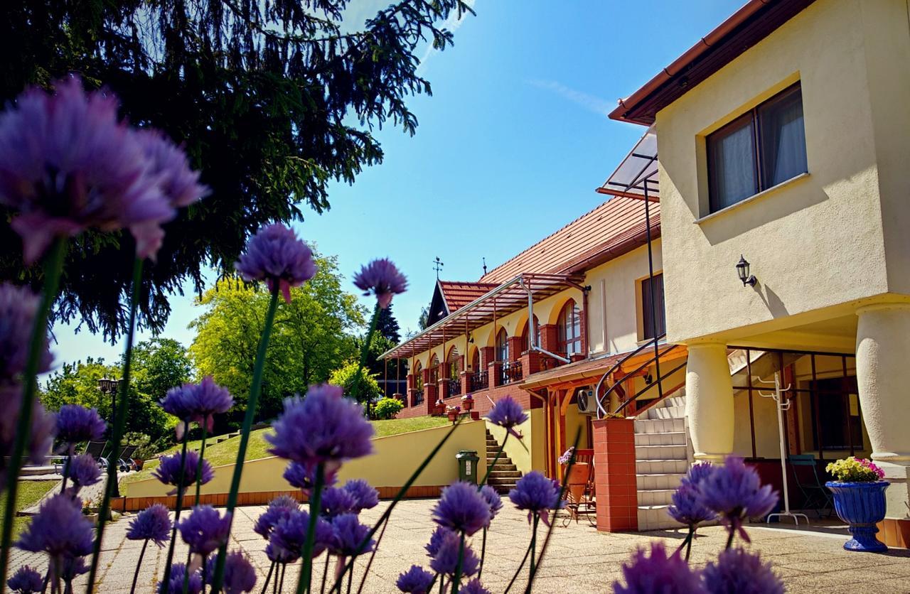 Villa Teleki Exteriör bild