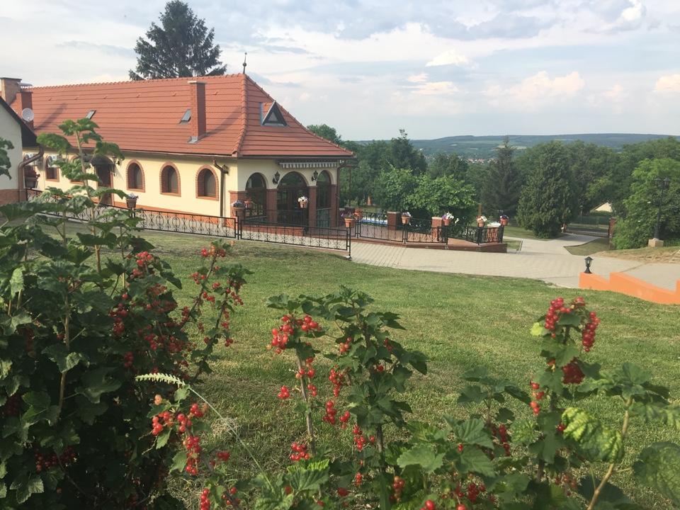 Villa Teleki Exteriör bild